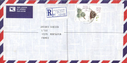 AFRIQUE DU SUD SEUL SUR LETTRE RECOMMANDEE POUR LA FRANCE 1990 - Storia Postale