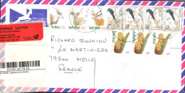 AFRIQUE DU SUD SEUL SUR LETTRE RECOMMANDEE POUR LA FRANCE 2001 - Covers & Documents