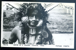 Cpa Carte Photo De Papouasie -- Native Of A Papuan Coastal Tribe -- Papuan Prints   LANR30 - Papua-Neuguinea