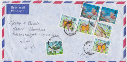 Seychelles Enveloppe Lettre Timbre Papillon Coraux Gecko Vanille Butterfly Coral Stamp Air Mail Cover Letter 1980 - Seychelles (1976-...)