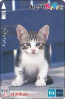 Japan Prepaidcard    Katze Cat - Cats