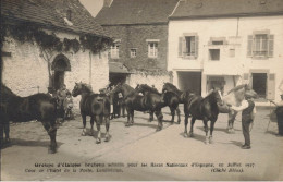 Landivisiau * Carte Photo * Groupe D'étalons Bretons Achetés Pour Haras Nationaux Espagne Juillet 1927 Cour Hôtel Poste - Landivisiau