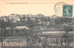 CPA 91 EPINAY SUR ORGE / VUE PANORAMIQUE DE L'ASILE DE VAUCLUSE / PRISE DU PERRAY - Epinay-sur-Orge