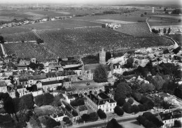 Vouvray * Vue Aérienne Sur Le Village Et Les Vignobles * Vignes Vin - Vouvray