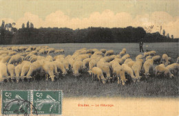 CPA 91 ETIOLLES / LE PATURAGE / Cpa Toilée / BERGER / MOUTONS - Other & Unclassified