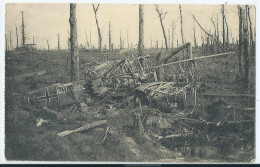 Houthulst - 1914-1918 - La Forêt D'Houthulst - Avion Allemand - 1920 - Houthulst