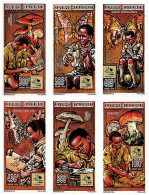 75633 MNH CENTROAFRICANA 1995 18 JAMBOREE MUNDIAL EN HOLANDA - Arañas