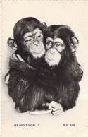 ANIMAUX - Singe - Chimpanzé - Me And My Gal ! - Carte Postale Ancienne - Affen