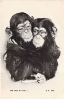 ANIMAUX - Singe - Chimpanzé - Me And My Gal ! - Carte Postale Ancienne - Apen