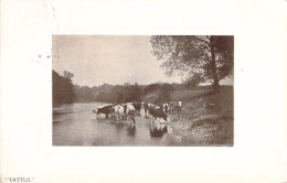 ANIMAUX - Vaches Dans La Rivière - Carte Postale Ancienne - Vacas