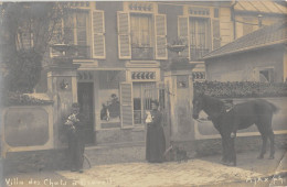 CPA 91 DRAVEIL / CARTE PHOTO / VILLA DES CHATS - Draveil