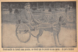 ATTELAGE- DE CHIEN- GRAND MUTILE DU TRAVAIL SANS PENSION , NE VIVANT QUE DU PRODUIT DE SES CARTES- JE PORTE BONHEUR - Cani