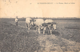 CPA 91 LE PLESSIS CHENET / LE PLATEAU / BOEUFS AU LABOUR / SCENE D'AGRICULTURE - Sonstige & Ohne Zuordnung