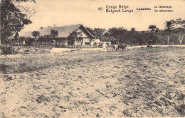 CONGO BELGE - LUSAMBO - Le Labourage - Carte Postale Ancienne - Belgian Congo