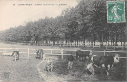 CPA 91 COURANCES / CHATEAU DE COURANCES / LA PRAIRIE / VACHE / LAITIERE - Andere & Zonder Classificatie