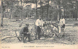 CPA 91 FORET DE SENART / BUCHERONS DE LA FORET AU TRAVAIL  / METIER - Sénart