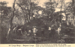 CONGO BELGE - Attaque De Termitière Sur La Nouvelle Route De Lukalu - Carte Postale Ancienne - Congo Belge