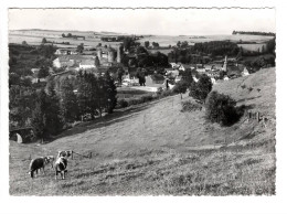 Burg Reuland ( Gelaufen AK ) - Burg-Reuland