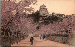 JAPON - HIMEJI Castle Near KOBE In CHERRY Blossoms. - Kobe