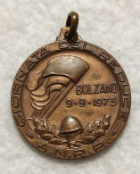 Medaglia Giornata Del Reduce - Bolzano 1973 -  A.N.R.P. - Otros & Sin Clasificación