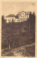 Plön - Hotel Parnass Gel.1915 - Ploen