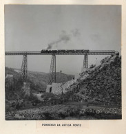 Guarda - REAL PHOTO - Ponte Sobre O Rio Côa Em Construção Em 1944 - Portugal - Guarda