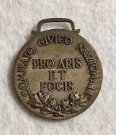 Medaglia Comitato Civico Nazionale - 18 Aprile 1968 - Altri & Non Classificati