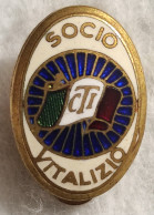 Distintivo TCI Socio Vitalizio - Touring Club Italiano - Castelli Gerosa - Sonstige & Ohne Zuordnung