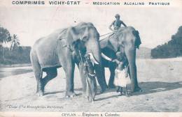 SRI LANKA - CEYLAN - Eléphants à Colombo - Publicité Comprimés Vichy Etat - Médication Alcaline - Carte Postale Ancienne - Sri Lanka (Ceilán)