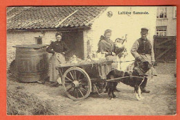 JP -  CP - Zonnebeke - Laitière Flamande - Non Circulée - Nels Série Laitières N° 2 - Zonnebeke