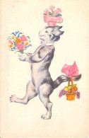 ANIMAUX - Chat - Cirque - Chat Debout Fait L'équilibriste Avec Des Fleurs - Panier Osier - Carte Postale Ancienne - Gatti