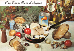 Recette De Cuisine - Les Cèpes Côte D'Argent - Cpsm GF Dentelée - Recettes (cuisine)