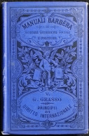 Principii Di Diritto Internazionale Pubblico E Privato - G. Grasso - Barbera - 1889 - Manuels Pour Collectionneurs