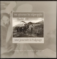 Un Giorno In Alpeggio - Fotografie R. Ferrero - 2005 - Fotografie