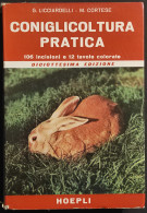 Coniglicoltura Pratica -  G. Licciardelli - M. Cortese - Ed. Hoepli - 1962 - Animales De Compañía