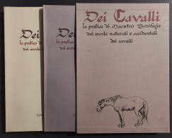 Dei Cavalli - Pratica Maestro Bonifacio Morbi Cavalli - Ed. Nardini - 1988 - Animales De Compañía