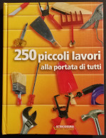 250 Piccoli Lavori Alla Portata Di Tutti - Guide Altroconsumo - 2006 - Handbücher Für Sammler