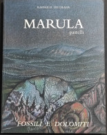 Marula Pastelli - Fossili E Dolomiti - R. De Grada - 1998 - Arte, Antigüedades