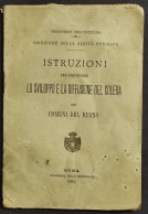 Istruzioni Prevenire Sviluppo E Diffusione Colera Nel Regno - 1893 - Libri Antichi