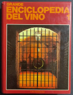 Grande Enciclopedia Del Vino Vol. 1 - A-G - Ed. Domus - 1981 - Casa E Cucina