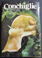 Conchiglie Di Tutti I Mari Vol III - 1981 - Garten