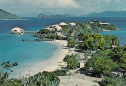 St Thomas US Virgin Islands - Coki Point - Coral World Aquarium - Islas Vírgenes Americanas