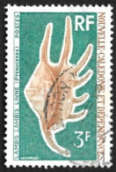 Nouvelle Calédonie  1972  - Y&T  380 -  Oblitéré  - Lambis - Used Stamps