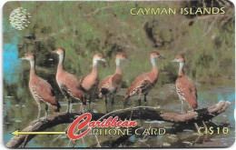Cayman Isl. - C&W (GPT) - Whistling Duck, 13CCIA, 1995, 25.000ex, Used - Kaimaninseln (Cayman I.)