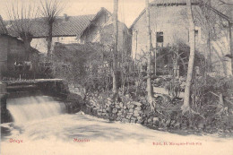 Belgique - Oreye - Moulin - Edit. D. Mangon Poitevin   - Carte Postale Ancienne - Waremme