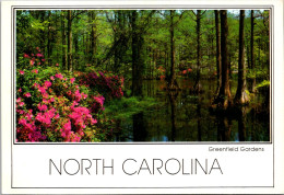 North Carolina Wilmington Beautiful Greenfield Gardens - Wilmington