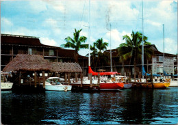 Florida Naples Sailboats At Anchor - Naples