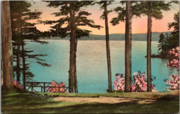 New York Lake George Head Of The Lake From "Rockledge" 1943 Handcolored Albertype - Lake George