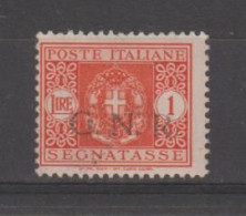 R.S.I.:  1944  TASSE  G.N.R. -  £. 1  ARANCIO  N. -  SASS. 55 - Postage Due