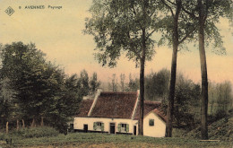 Belgique - Avennes - Paysage - Edit. St An. Belge De Phototypie - Colorisé - Carte Postale Ancienne - Waremme